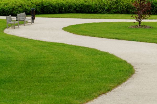 Cost of Concrete Walkway Installation in Tracy