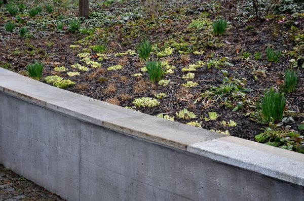 Cost of Concrete Wall Construction in Tracy