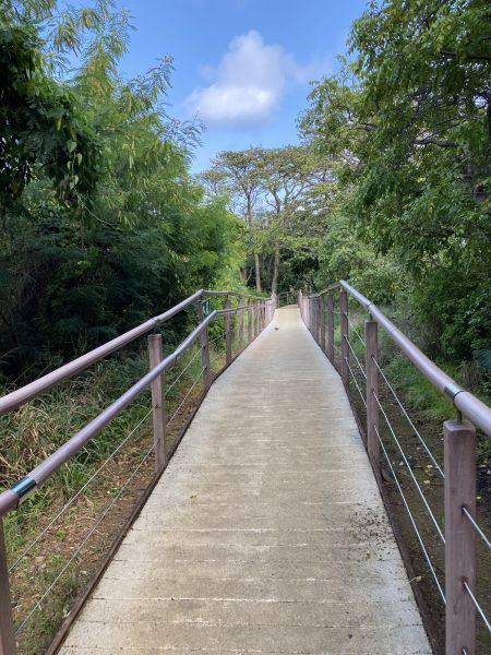 Cost of Footpath Construction in Tracy
