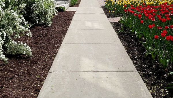 Cost of Cement Sidewalk Installation in Tracy
